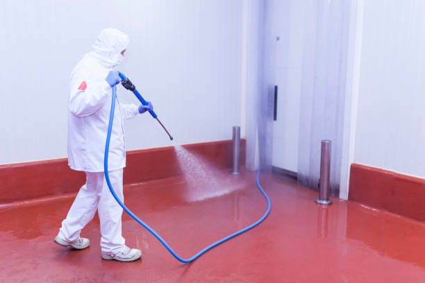 Professional Pressure Washing in Bethel Island, CA